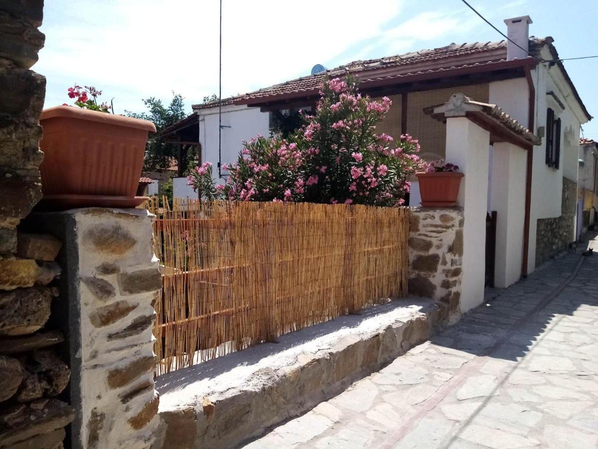 Petrino1880 Sea-Vacation Apartment In Chalkidiki Agios Nikolaos  Eksteriør billede